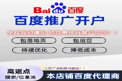 低成本高回报：百度包年竞价实战技巧揭秘